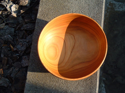 Třešňová — foto 2