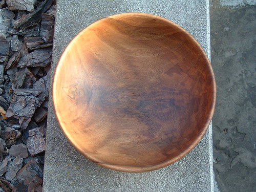 Jediněčná ořechová — foto 2