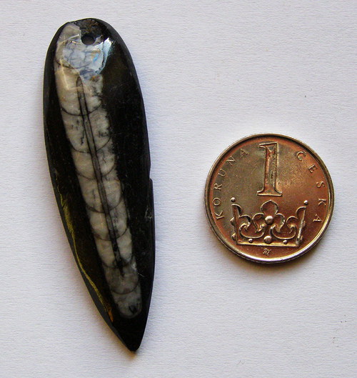Orthoceras - malý vrtaný NO. 1 — foto 2