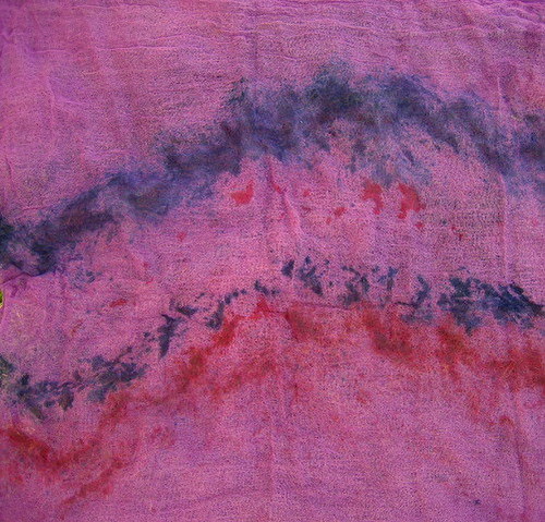 Fialová Tříbarevná — foto 3