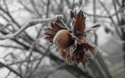Cvrnkly mě do nosu:-) — foto 2