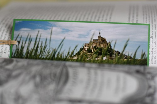 Sada Le Mont Saint-Michel v trávě — foto 2