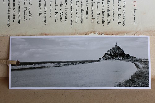 Sada Le Mont Saint-Michel v trávě — foto 5