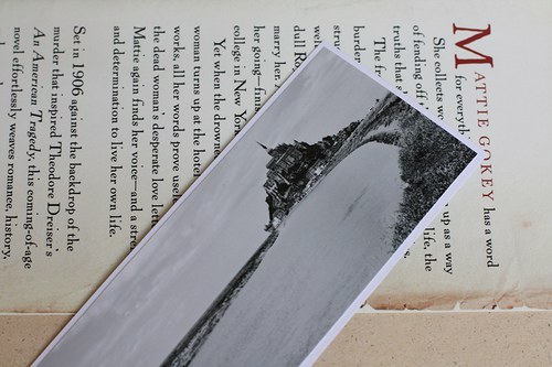 Sada Le Mont Saint-Michel v trávě — foto 6