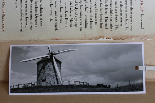 Sada Větrná Normandie — foto 5
