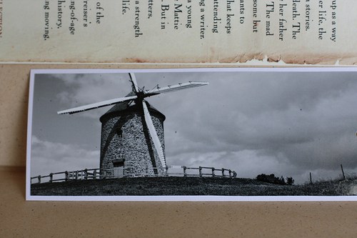 Sada Větrná Normandie — foto 6