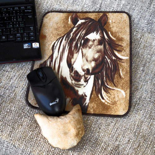 "Konečně počítačový kůň!" - maxisouprava k PC — foto 2