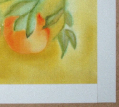 Pomeranče 26 x 31,5 — foto 3