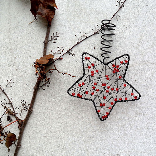 Vánoční hvězda — foto 2