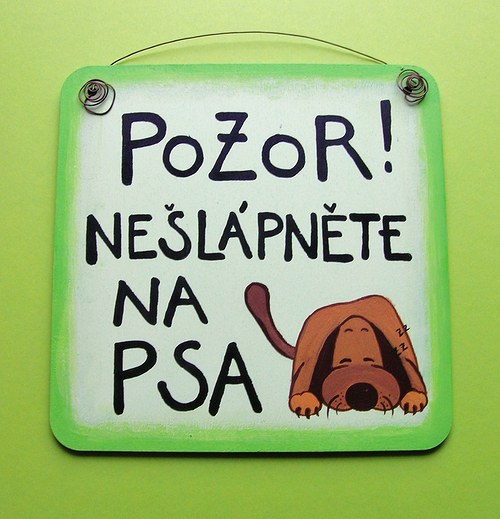Pozor ! nešlápněte na psa... — foto 3