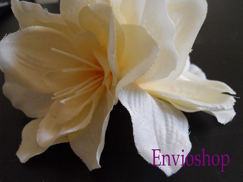 Flowers collection No.23 Amarylis — foto 4
