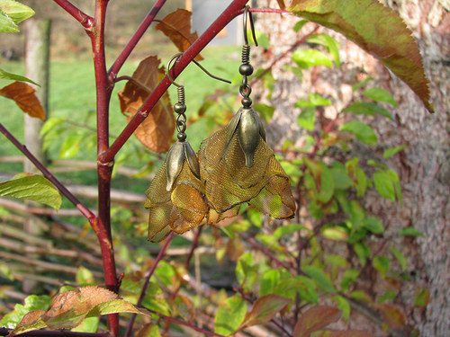 Autumn mimikri — foto 2
