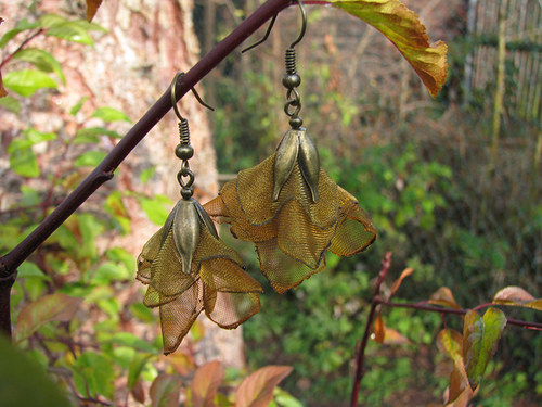Autumn mimikri — foto 3