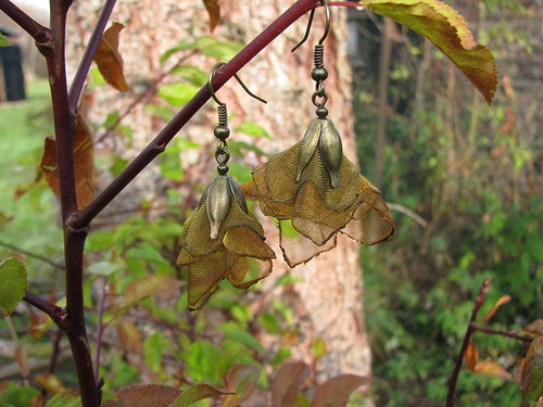 Autumn mimikri — foto 4