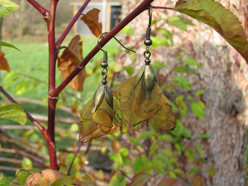 Autumn mimikri — foto 5