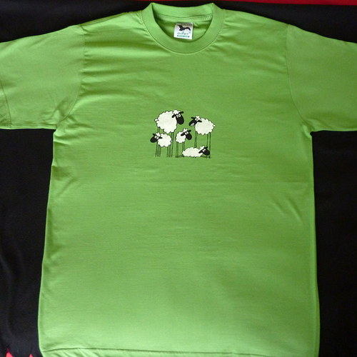 Ovce — foto 3