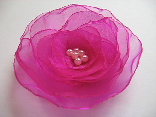 Jemná fuchsie... — foto 2