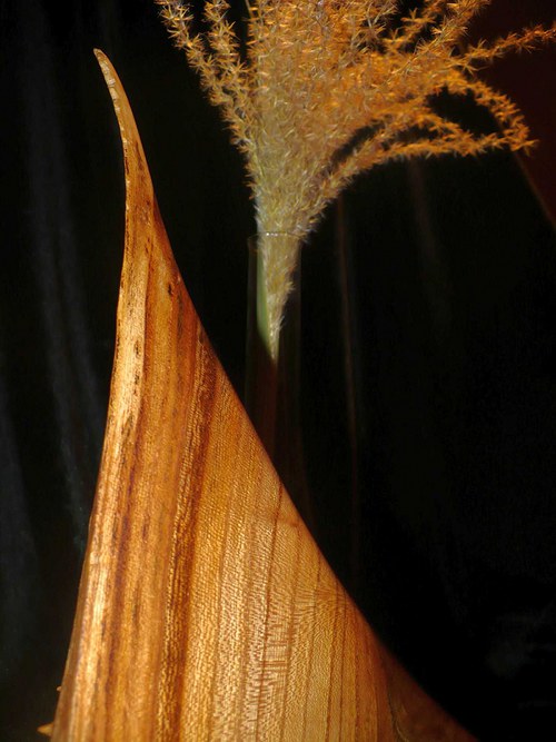 Pel jilmu — foto 5