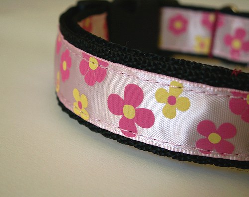 Světle růžový obojek 25 - 35 cm — foto 2