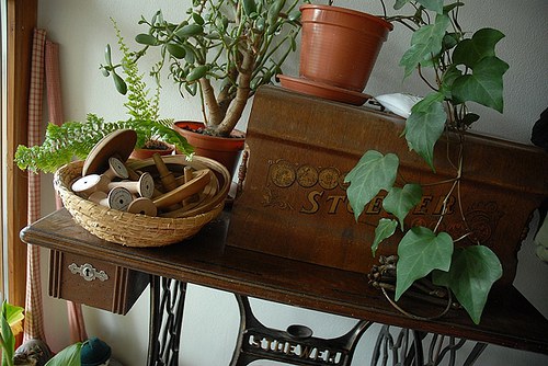 Cívky našich babiček — foto 4