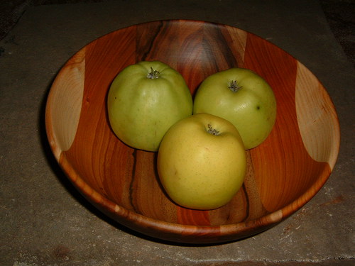 Nádherná lepená — foto 2