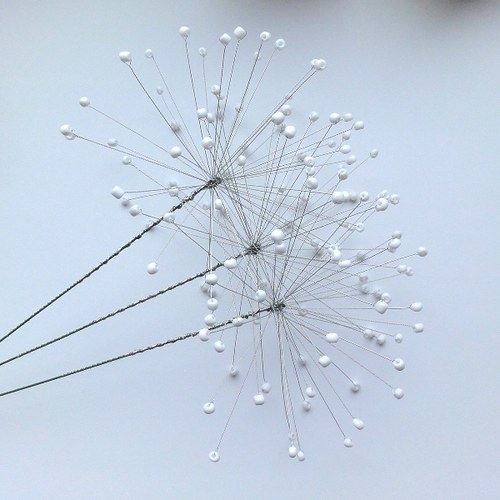 ,,PAMPELIŠKY - BÍLÉ - ODKVETLÉ..,, — foto 2