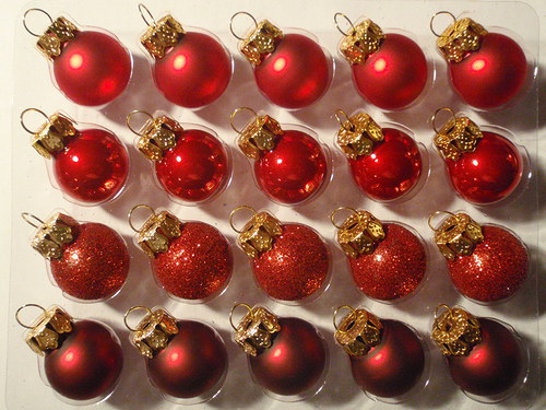 Vánočnička světlečervená — foto 6