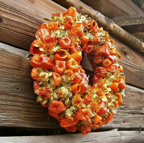 Oranžové pohlazení — foto 3