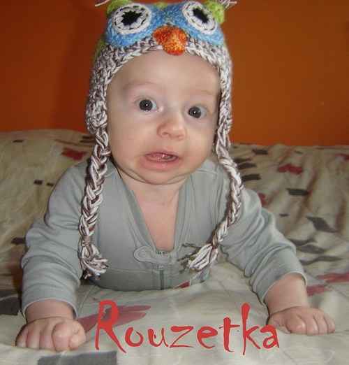 Sovy, sovy, sovičky — foto 2