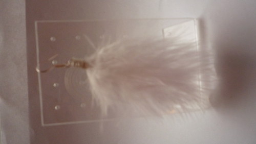 Andělská křídla — foto 2