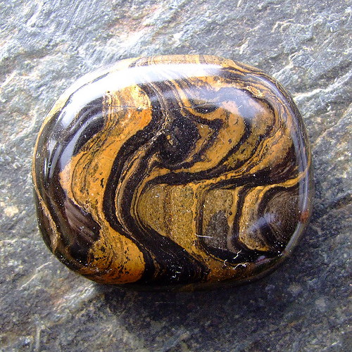 Stromatolit — foto 2