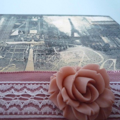 Rose de Paris Rose — foto 4
