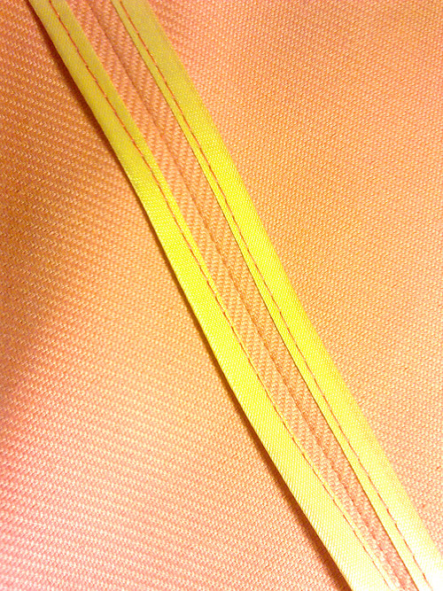 Yellow aura - vak na jógu — foto 4