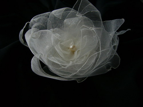 Lily — foto 2