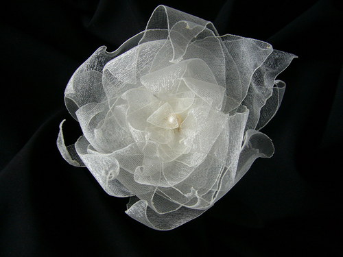 Lily — foto 4