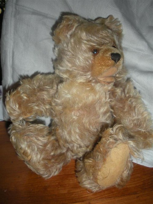 Chlupáč medvídek kloubový. — foto 2