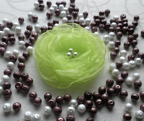 Žlutozelená nadýchaná — foto 2