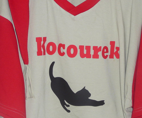 Pro kocourka na spaní — foto 2