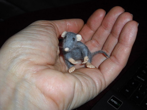 Junior — foto 3