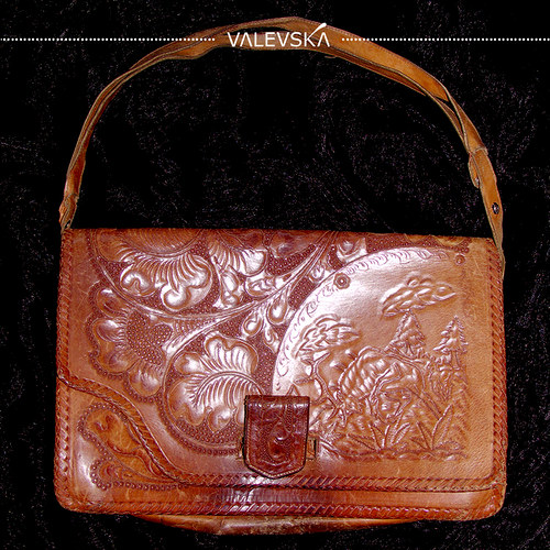 Biodiversity of Mexiko — foto 2