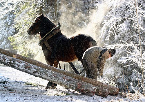 Andělské údolí (v rámu) — foto 2