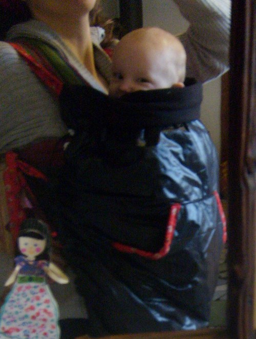 Kapsa kytička — foto 2