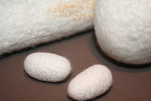 Koteka – buďte domorodcem v ČR:-) — foto 2
