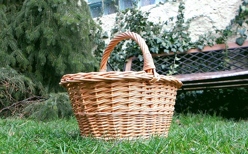 Košík houbový — foto 3