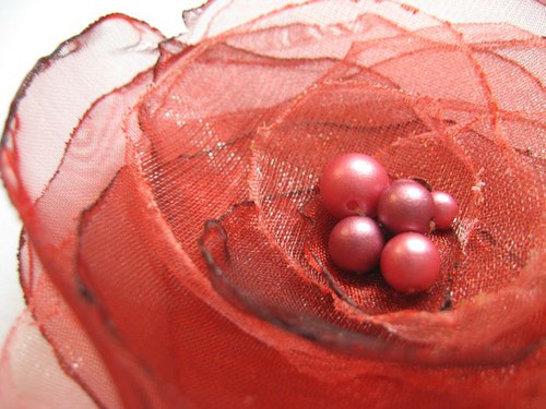 Jahody a višně ... — foto 3