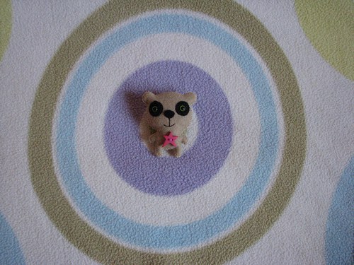 Medvídek pandí — foto 4