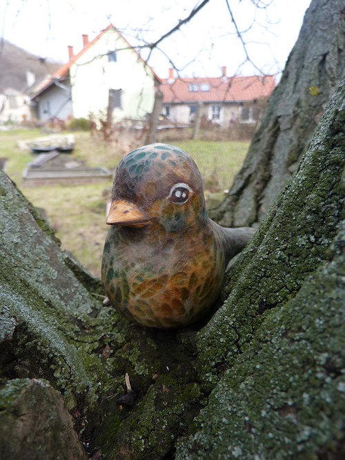 Ptáček zeleňáček — foto 4
