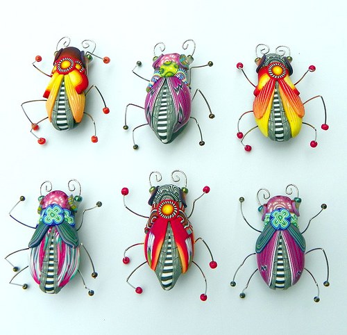 Brož hmyzanda slunečná — foto 3