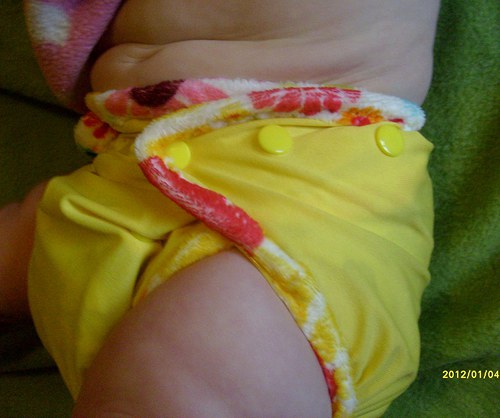 Svrchňáčky žluté :-) — foto 4