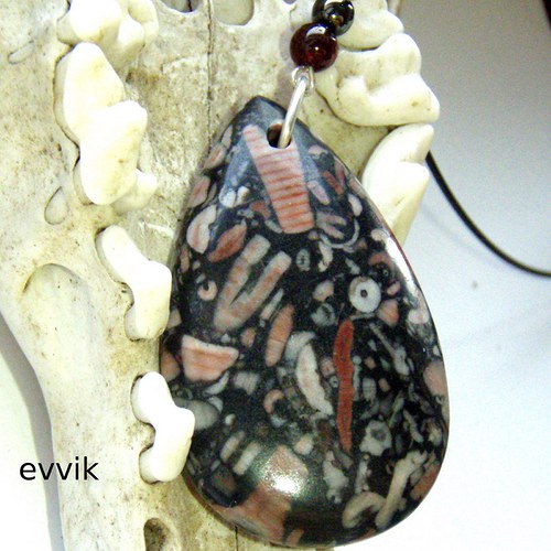 Prvohorní crinoidy — foto 2